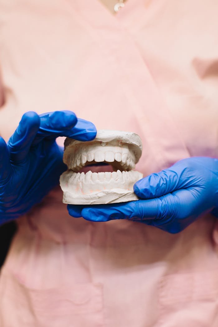 A dentist wearing blue gloves holds a dental cast for oral hygiene demonstration.